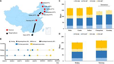 Speed-Breeding System in Soybean: Integrating Off-Site Generation Advancement, Fresh Seeding, and Marker-Assisted Selection